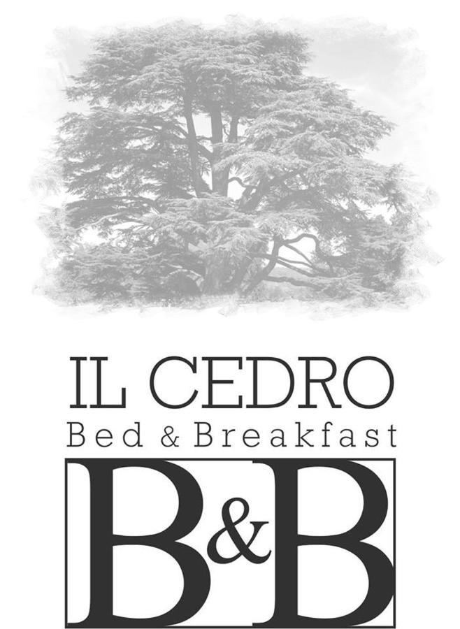 B&B Il Cedro Cava deʼ Tirreni Exterior foto