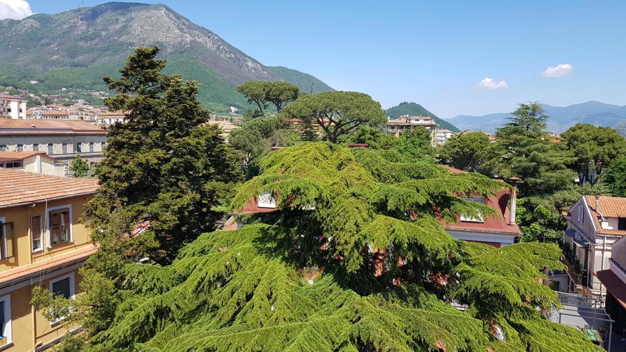 B&B Il Cedro Cava deʼ Tirreni Exterior foto