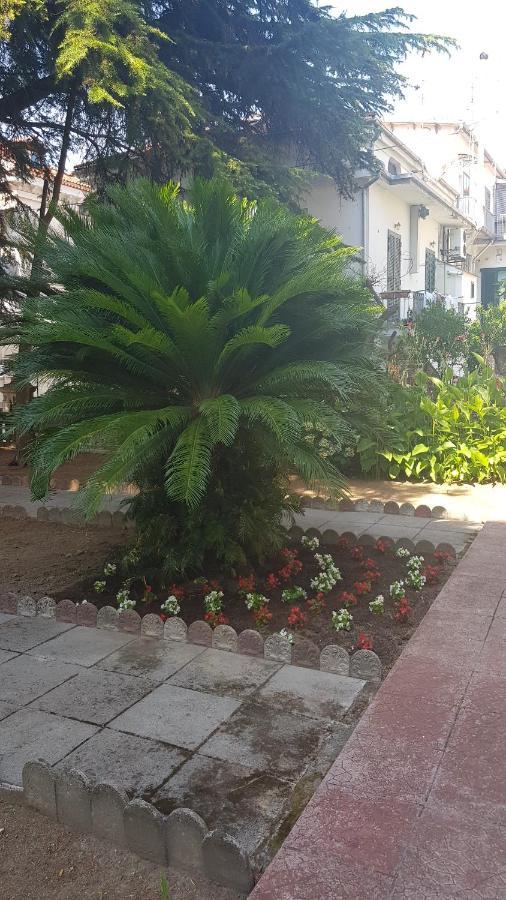 B&B Il Cedro Cava deʼ Tirreni Exterior foto